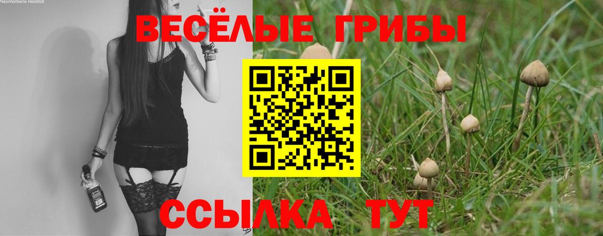 Галлюциногенные грибы Psilocybine cubensis  Галлюциногенные грибы Psilocybe  Вход с VPN  Пугачёв 